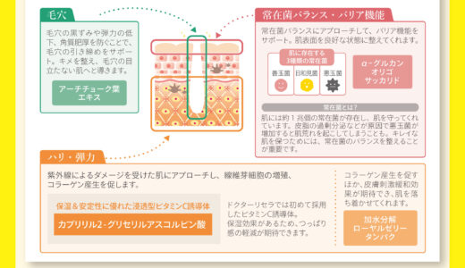 フレッシュマスク詳細POP(サロン様向け研修資料)