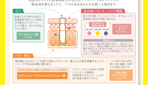 フレッシュマスクお客様用詳細POP