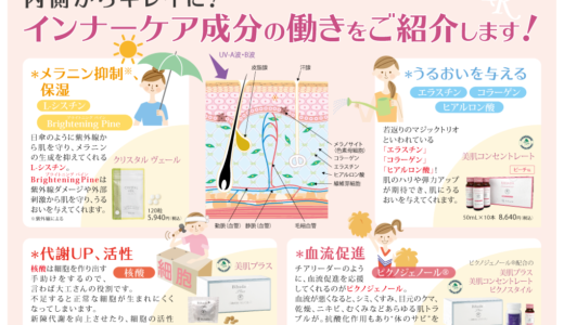 インナーケア成分の働きをご紹介します！