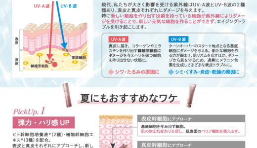 夏に使いたい！　Recella Divaの魅力って？