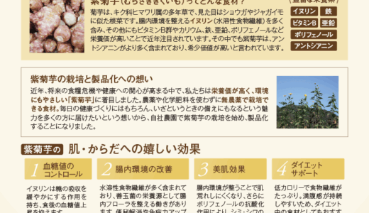 紫菊芋チップス×紫菊芋ティー　紹介POP