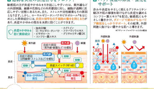 ラディール　詳細POP（Ladire 守り×攻めの新発想）