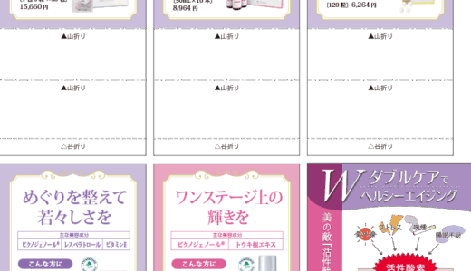 インナーケアディスプレイ付録