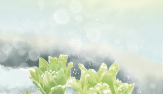 Recella Dear 冬号（2026年）