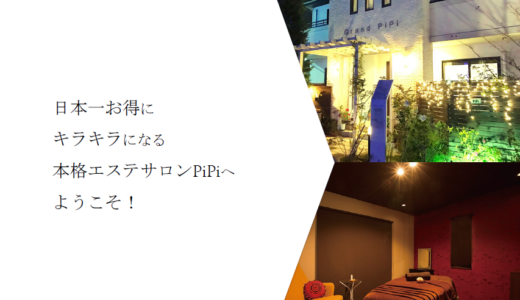 株式会社PiPi 西本社長によるサロン強化塾　資料