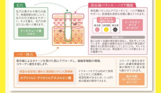 フレッシュマスク詳細POP(サロン様向け研修資料)