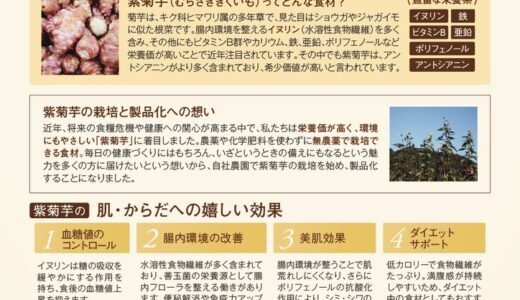 紫菊芋チップス×紫菊芋ティー　紹介POP