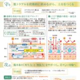 2510_ladire-shosaipopのサムネイル