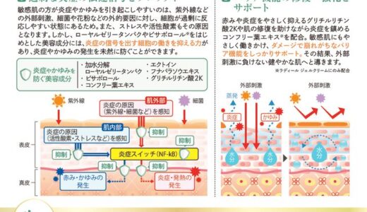 ラディール　詳細POP（Ladire 守り×攻めの新発想）